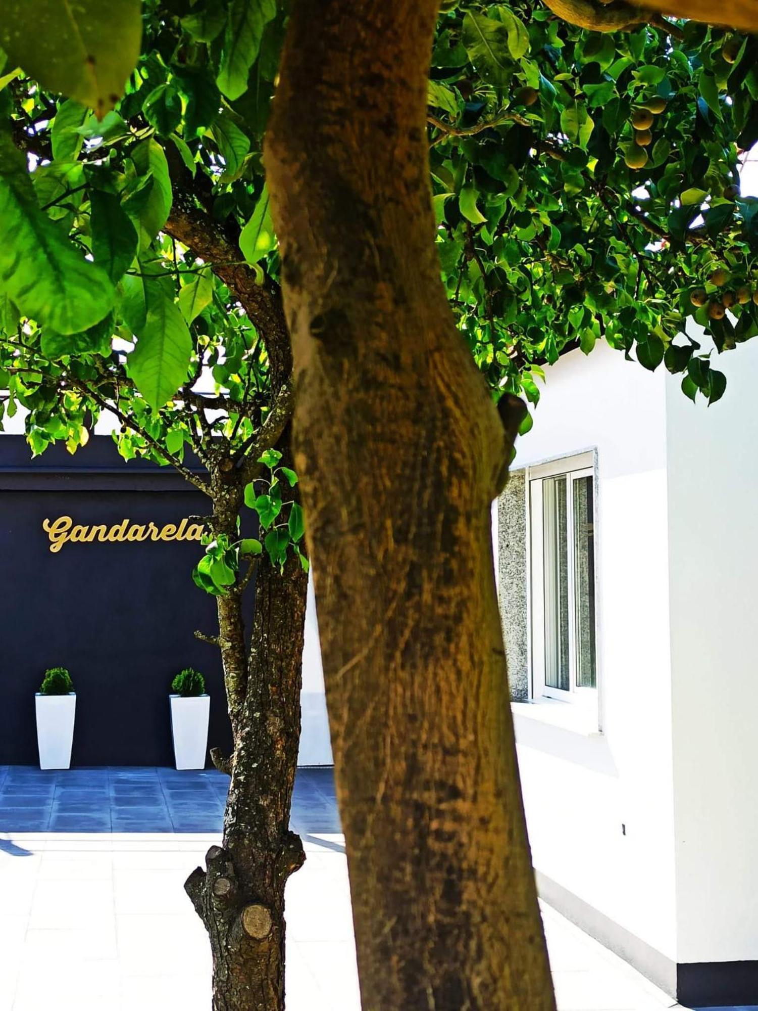 Apartamentos Vut Gandarela Sanxenxo Dış mekan fotoğraf